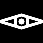 Anam.ai logo