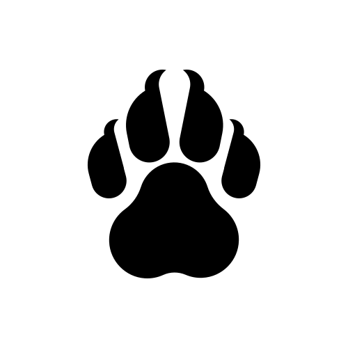 ClawCloud Run logo