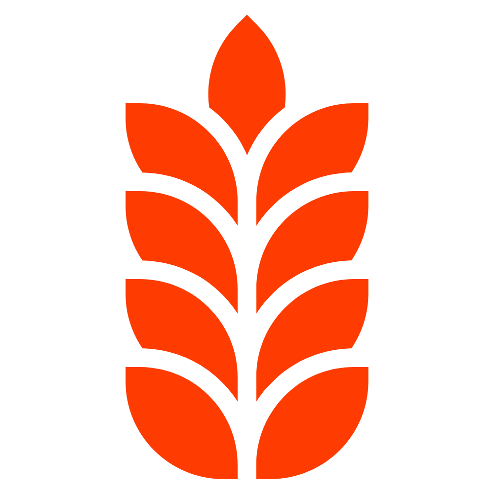 GrainODM logo