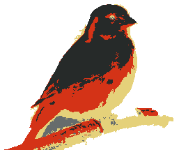 Kanaries logo