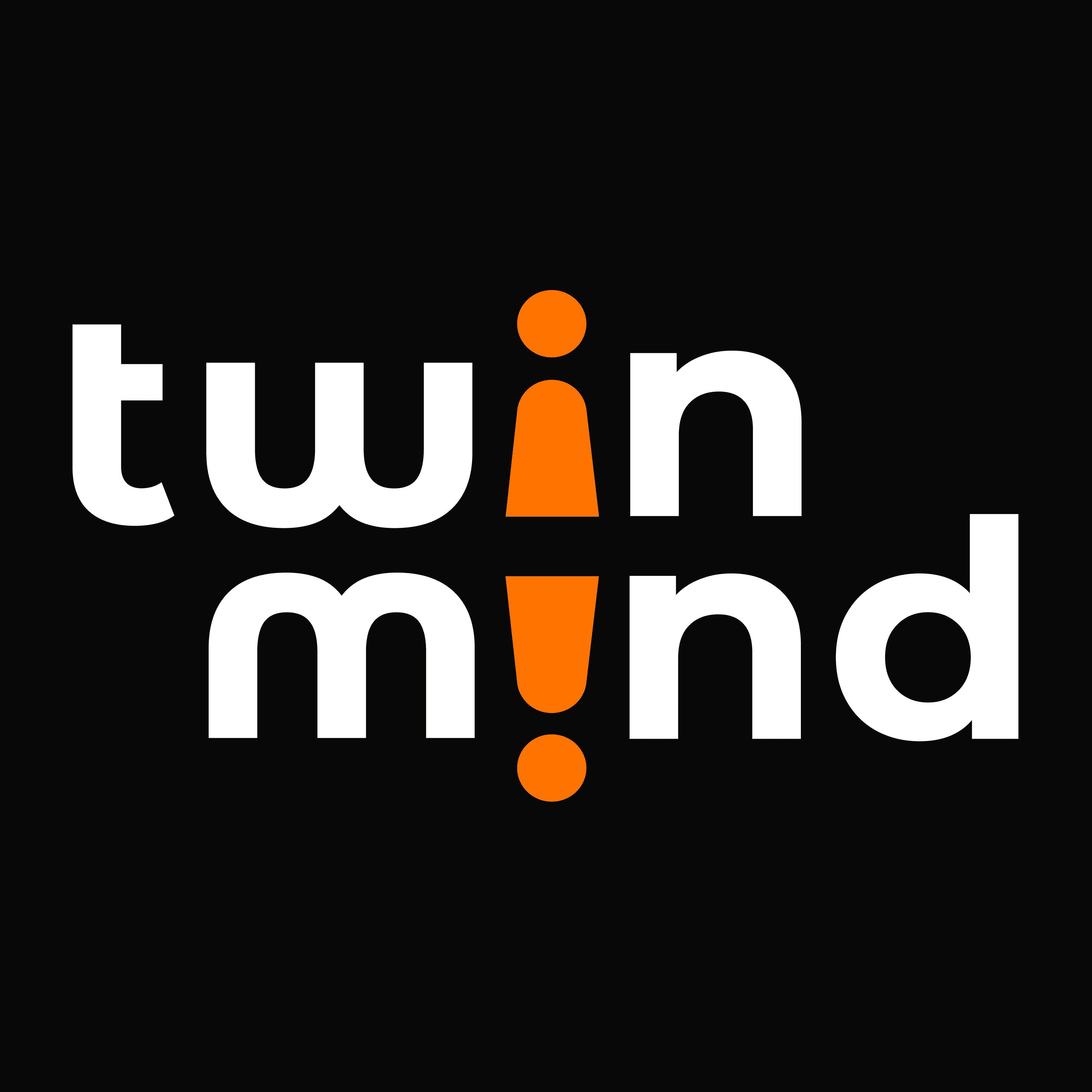 TwinMind logo