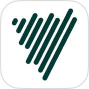 Voicenotes logo