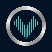 Vowise logo